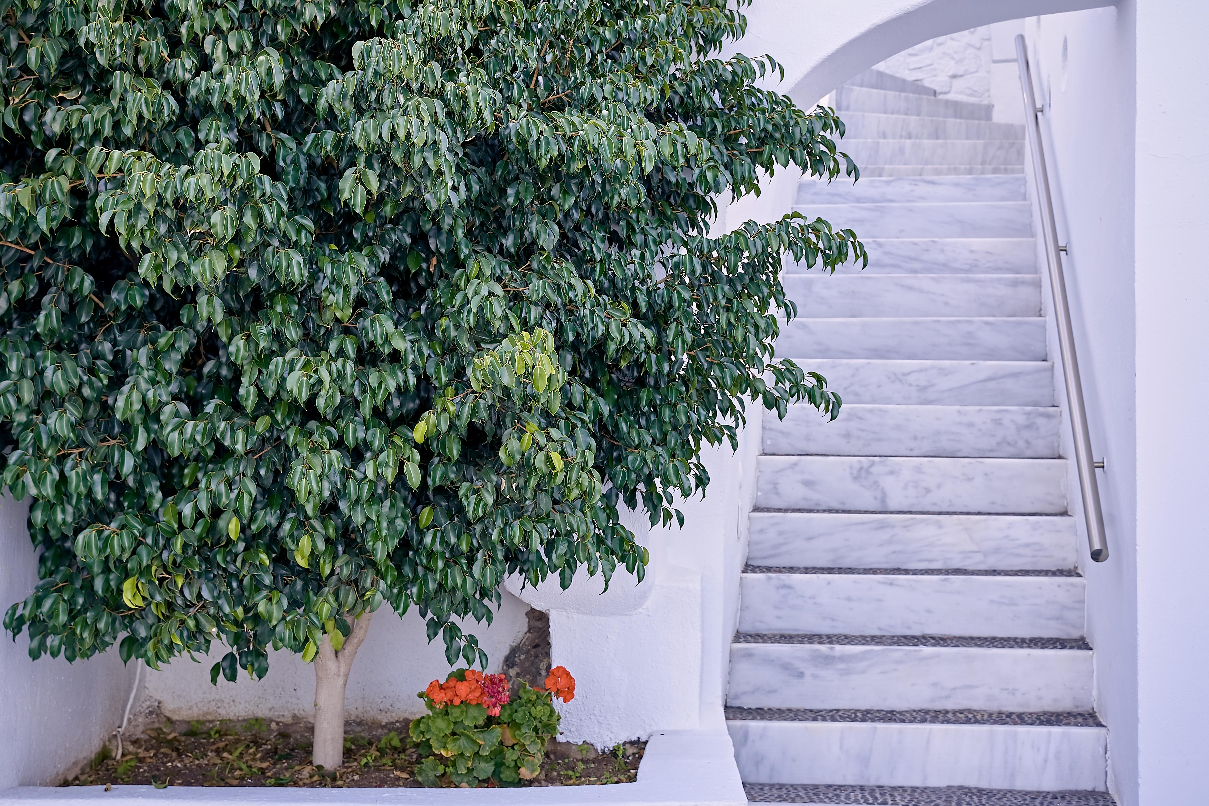 Agali Houses Φηροστεφάνι Εξωτερικό φωτογραφία